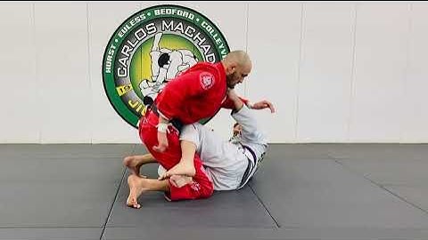 Opening The Reverse Half Guard and Passing the Knee Shield 🛡 or Z-Guard by Greg Hamilton BJJ