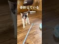生きる
