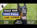 Basic German Commands to Train your DOBERMAN - Quick Tips