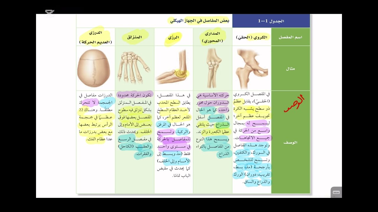 شرح الجهاز الهيكلي المفاصل أحياء ثاني ثانوي 1447