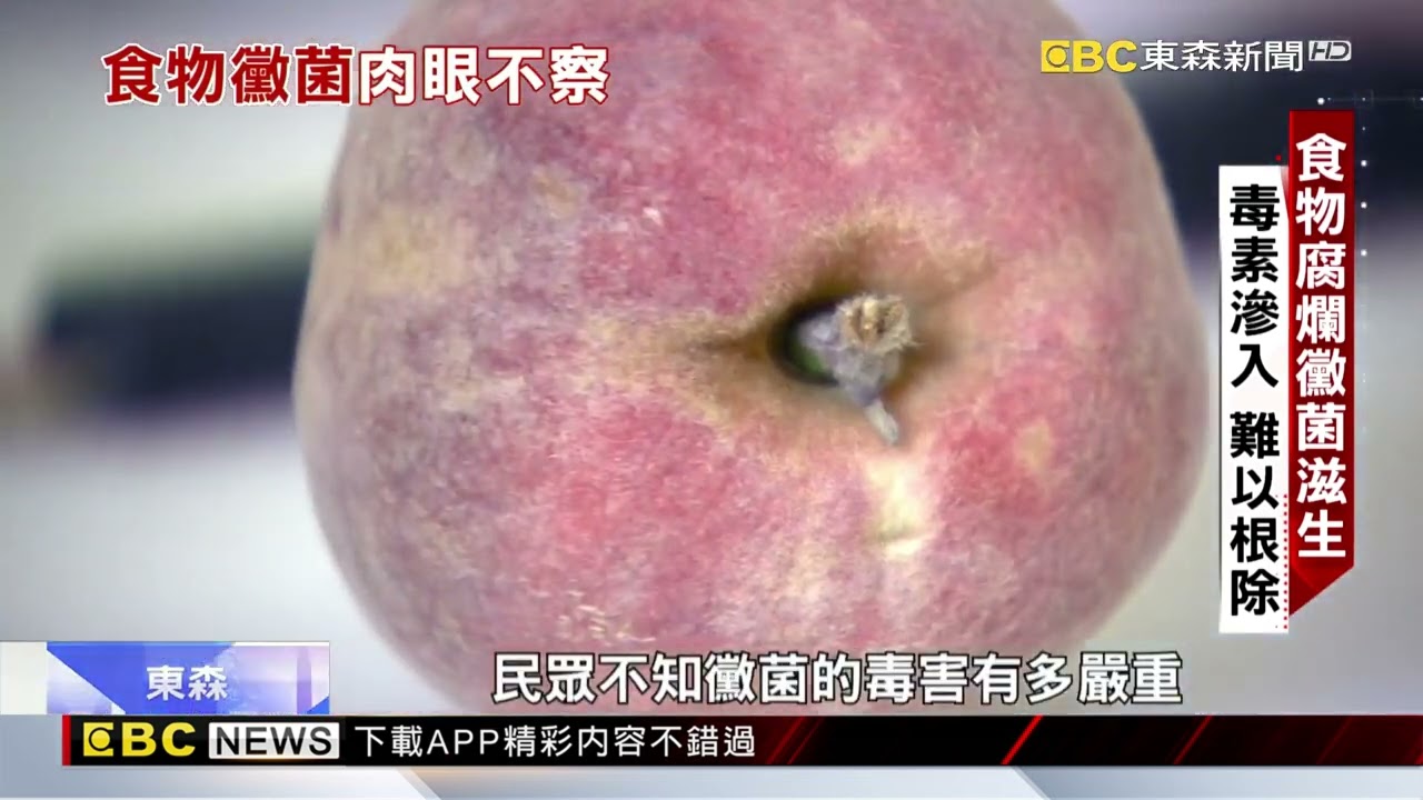 菌絲滲入果肉 孽生毒素傷肝腎致癌變  綜合報導@newsebc