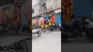 Sawan ke jhula ne #shorts #viral #reels #video # please support kijiye friends 🙏😭🥰