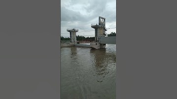 bạch tràng Tha La An Giang mùa nước nổi