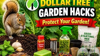 Dollar Tree Garden Hacks that STOP pests and animals Fast!
