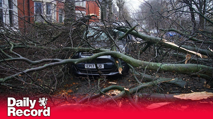 Storm Darragh: Fallen tree crushes car in Liverpool and Merseyside derby is off as 90mph gusts hit
