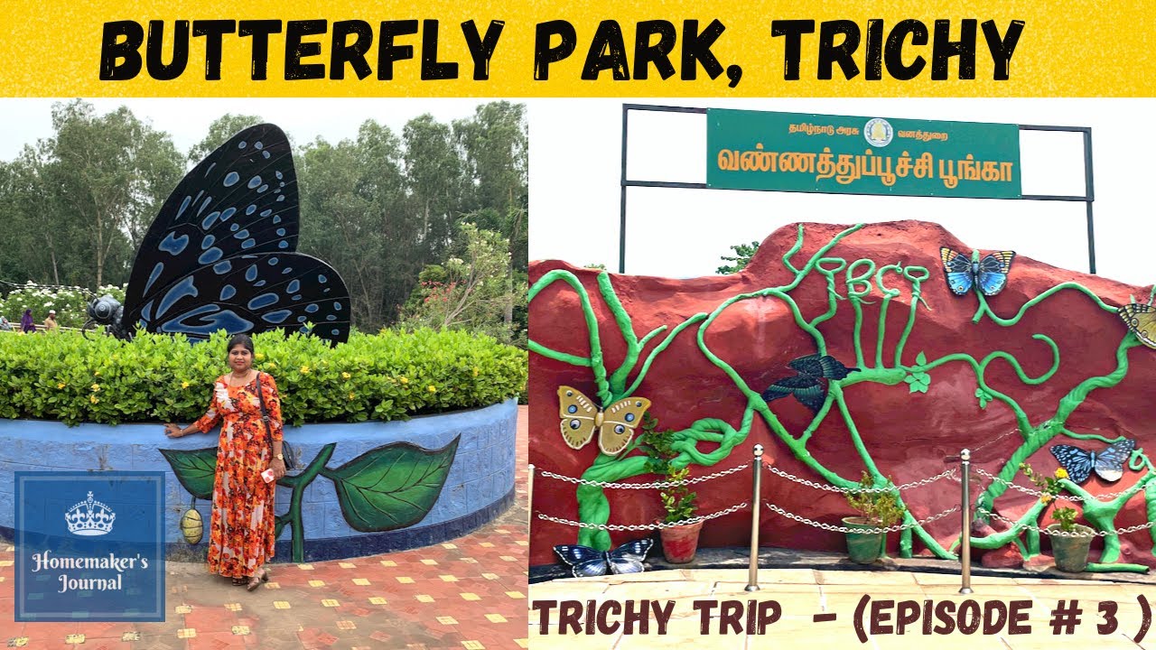 Butterfly Park, Trichy வண்ணத்துப்பூச்சி பூங்கா, திருச்சிராப்பள்ளி