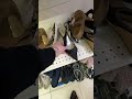 Последний день распродажи часть 1️⃣ссылки на Инстаграм и тик/ток ⤵️