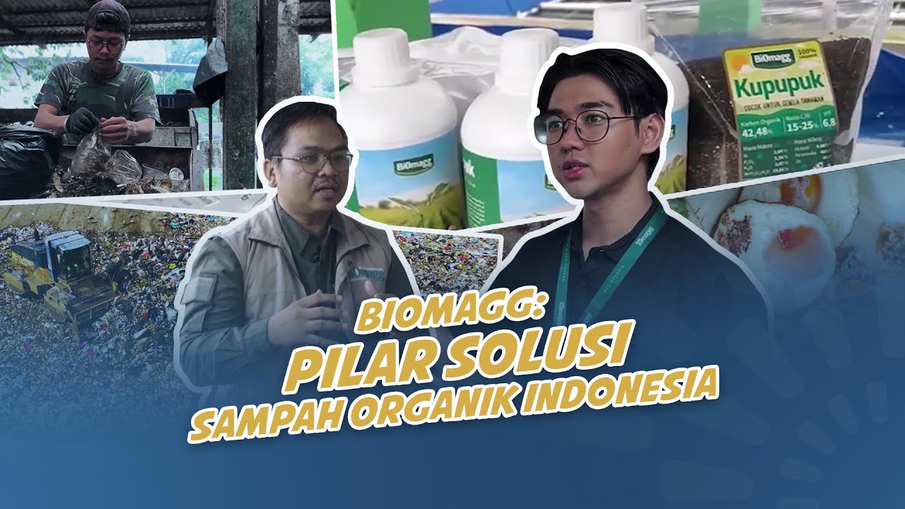 Biomagg: Pilar Solusi Sampah Organik Indonesia