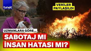 En büyük tehlike ne? Yangınların ardındaki gerçek!