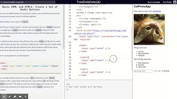 Learn Basic HTML and HTML5: Create a Set of Radio Buttons | freeCodeCamp.org 22