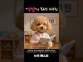 평범이 목표인 유치원 #반려견 #말티즈 #강아지 #cute #malteselovers #maltese #반려동물 #동물 #dog #유치원 #푸들