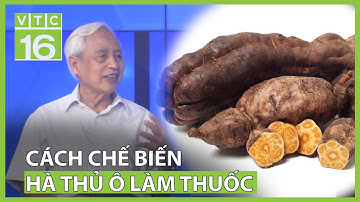 Chuyên gia bật mí cách chế biến hà thủ ô làm thuốc chuẩn nhất | VTC16