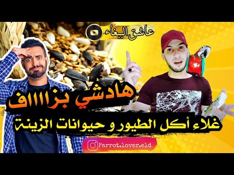 هادشي بزاااف غلاء أكل الطيور والحيوانات