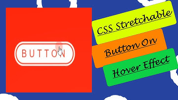 CSS Stretchable Elastic Button Hover Effects | CSS Stretchable Elastic Button | CSS Hover Effects