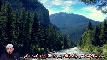 سورة الإخلاص والمعوذتان بصوت القارئ/ محمود هاشم