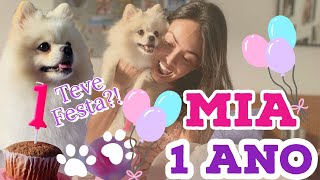 Mia Fez 1 Ano Teve Festa?