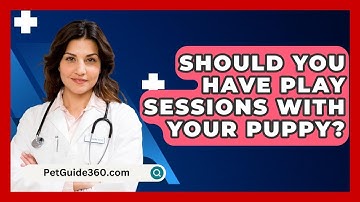 Should You Have Play Sessions With Your Puppy? - PetGuide360.com