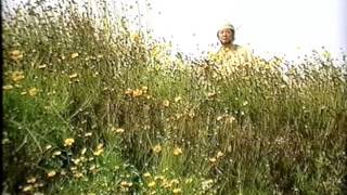 Yellowman Fathead - Love Fat Thing