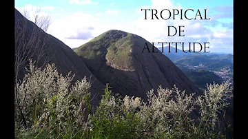 Qual a temperatura do clima tropical de altitude?