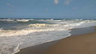 Wild Roars of White Crest Beach - Cape Cod