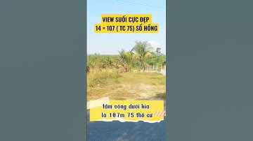Đất Dầu Tiếng I View suối cực đẹp  - bán gấp- đang Ngộp 14×107(tc 75) Sổ hồng riêng #shorts