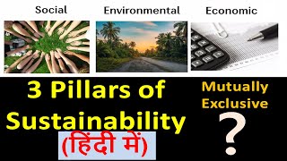 (हिंदी) शाश्वतता के 3 स्तंभ_ 3 Pillars of Sustainability in HINDI