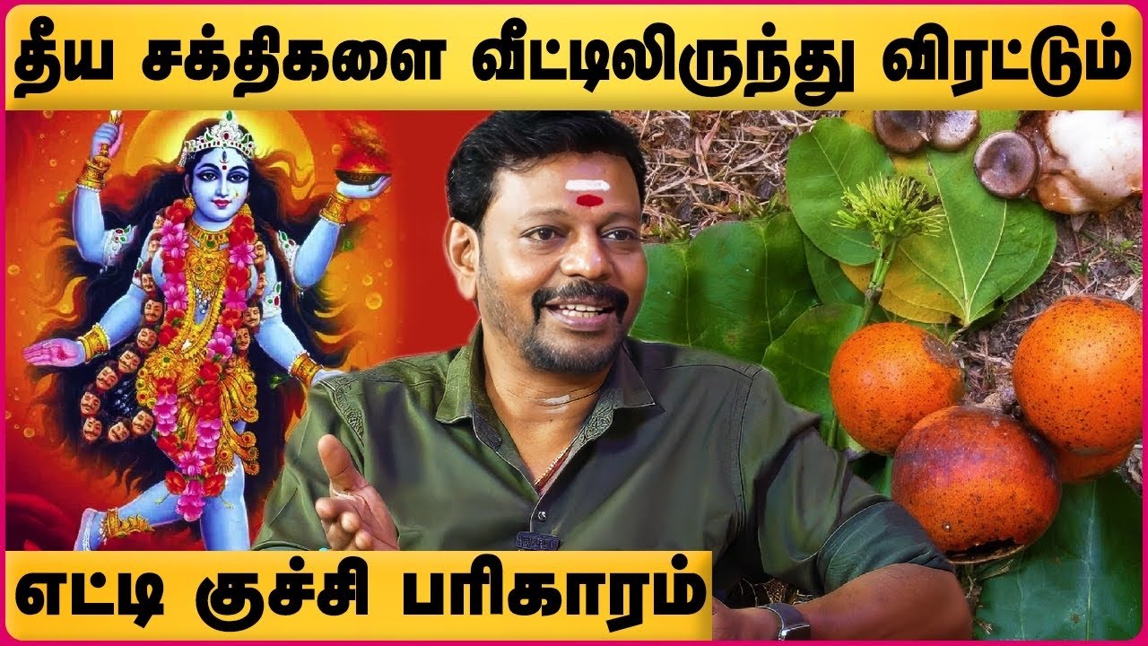 தீய சக்திகளை வீட்டிலிருந்து விரட்டும் எட்டி குச்சி | Negative Energy Removal |Mayan Senthil | Cosmo