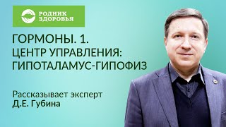 Лекция Д.Е. Губина \