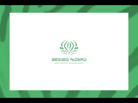 კონკურსი, იპოვნე მწვანე ზებრა