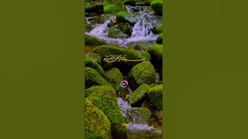 سعد الغامدي سورة الهمزة saad al ghamdi surah humazah