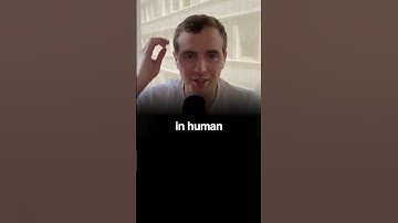 International AI Treaty