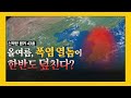 전 세계 폭염, 심상치 않다! 한국도 예외는 아니다? [신박한 벙커]