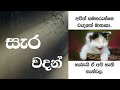 Wadan|Sara Wadan|සැර වදන් සිංහල.Wadan Official