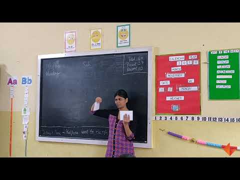 Animal Flash Cards Quick Flash Activity Youtube