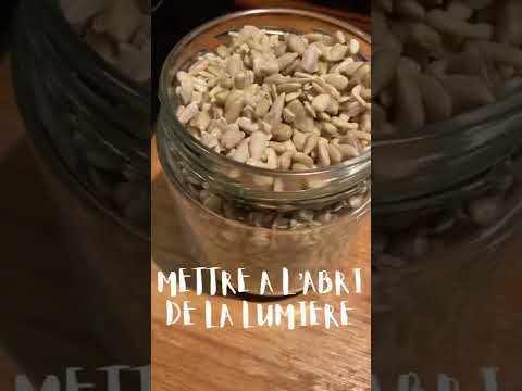 Vidéo: Dois-je faire tremper les graines de fenugrec avant de les planter ?