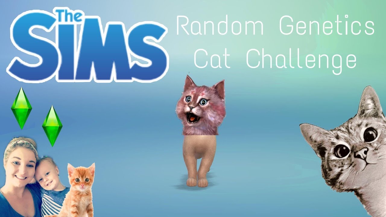 The Sims 4 Random Cats YouTube
