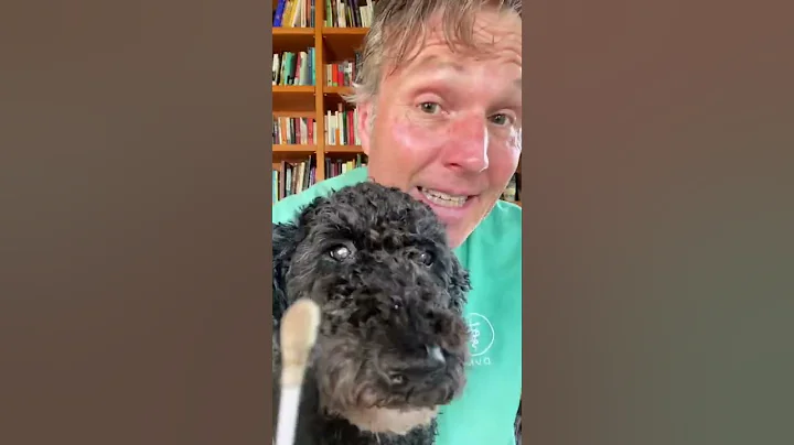 Yeast Ear infection or Ear Mites?