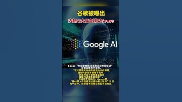 谷歌被曝出内部AI大语言模型Goose#谷歌 #ai #科技