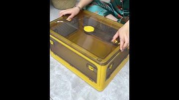 【Clothes Storages】Joybos® Multifunctional Foldable Transparent Storage