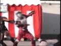 仮面ライダー龍騎　ショー3(end)