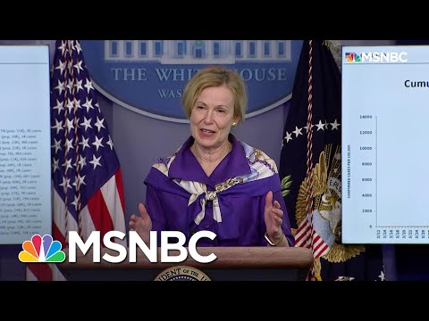 Dr. Birx: There Is Still 'Significant Virus Circulating' In D.C. And Other Metro Areas | MSNBC