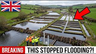 UK Released 20 Beavers Into Devon Rivers - What They Did To Flooding Was Insane