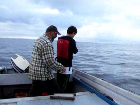 Fogo Island Fishing: Brian Catching Cod