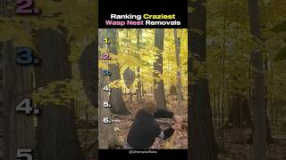 Ranking Craziest Wasp Nest Removals
