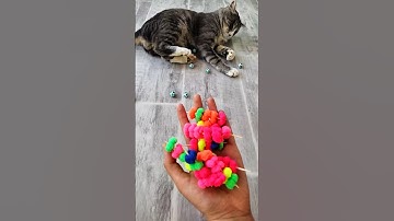 Funny Cat Tommy 😺 with Balls🔵🔴 |Satisfying Reverse ASMR #shorts #satisfying