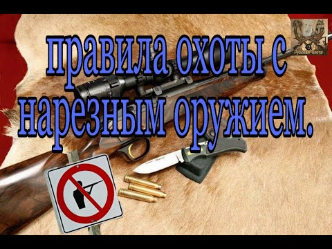 Правила охоты с нарезным оружием.