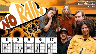 How to Play "NO RAIN" by Blind Melon (No Capo) | Beginner Guitar Play-Along + TAB, Chords, & Lyrics