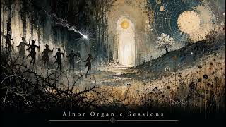 The Spark – Alternative Nocturnal Folk