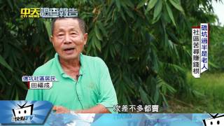 20170517中天新聞 全國唯一! 橄欖賣到要繳稅 小鎮大逆轉
