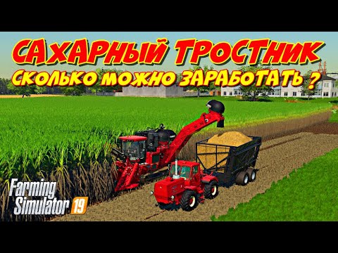 Видео: FS 2019 сахарный тростник сколько можно заработать ?  (sugar cane how much can you earn ?)